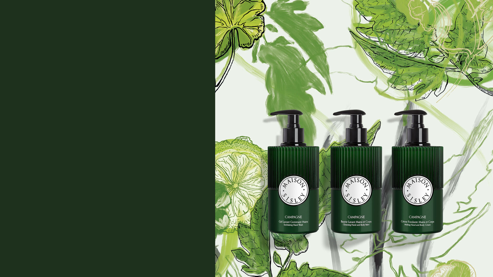 THE MAISON SISLEY COLLECTION